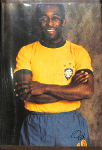 Image of MY LIFE AND THE BEAUTIFUL GAME